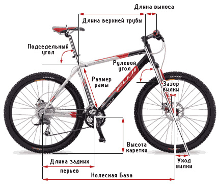 Геометрические параметры рамы велосипеда