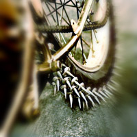 Шипованные шины велосипеда